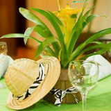 BIANCA DOS SANTOS SILVA