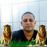 Wyllas Marques Santos Marques