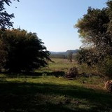 Paulo Fernando Santos da Silva