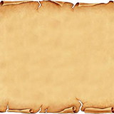 Sthefany Freitas Leal