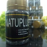 Phytoplus-x Sabriny Flores