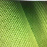 Nara Cristina Pacchini Rodrigues