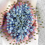 Irany Clemente da Silva