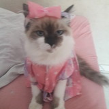 Neusa Cincilio Moreira