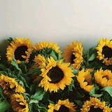 Art's Garden Macramê