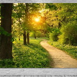 Graziela Pereira Morais