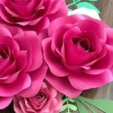 Cleonice Ferreira de Santana Freire