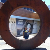 Priscilla alves cardoso