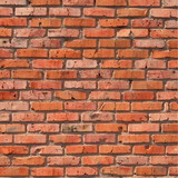 camila Daniela taraglia