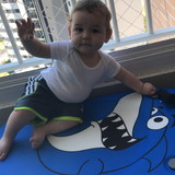 Andrea S P Prescinotto