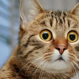 Josiel da Silva Valadão