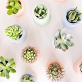 Ateliê Artes da sabrina