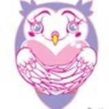 Bazar Toca da Coruja