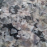 Roseli Barros de Oliveira da Silva