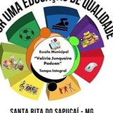 Leila Maria Ribeiro Vilela Mamud