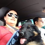 Elenice Oliveira de Andrade Ermeto