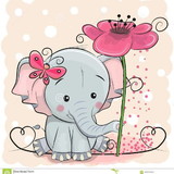 Adriana Cristina Novak