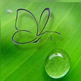 Regina Paula de Almeida