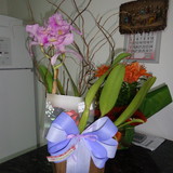 Patricia Modesto Epiphanio Miranda