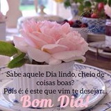 Amanda Abreu Menezes