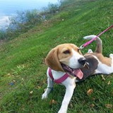 Liliane Lima Das Chagas