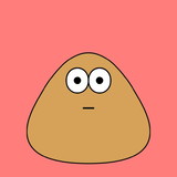 Maria de Fátima Schneider  Guaresi