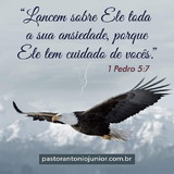 Ir para o perfil do usuário