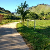 Adriana Ferreira de Matos pimenta
