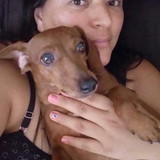 ANDREA GOMES RIBEIRO