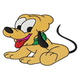 Renato alve de oliveira