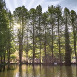 Aryclenes César Costa