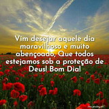 Elizandra Ferreira Da Silva Josefi