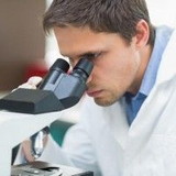 ERNANDO CÉSAR SIQUEIRA PINHEIRO