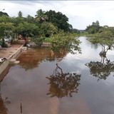 Betânia Fernandes Petzold