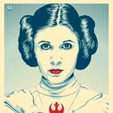 Flávia Silveira Menna Barreto