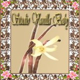 Studio Vanilla Baby