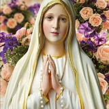 Janine Aparecida de Moraes Truta