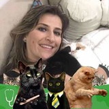 alessandra simonetto