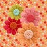 PRISCILA PORTO CHECCHIO