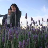 Erika Gushiken Capuani