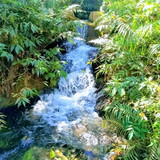 JANUA COELI DE SOUZA