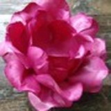 excluido_FORMINHAS DE BOMBOM