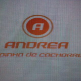 Andrea Aparecida Franco Almeida Modesto