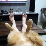 Nadia Paiva Pinheiro