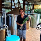 Olinda Óleos Essenciais