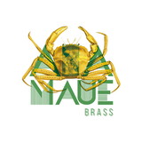 excluido_Ana Mauê Brass