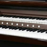 Isabel Aparecida Moraes de Andrade Pinto