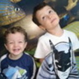 Rafael Marques Herrera