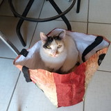 Rosália Coletto de Souza