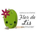 Lislier Ferreira Abreu